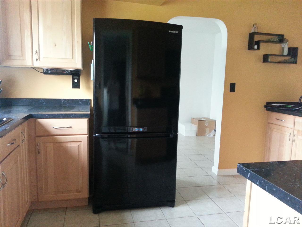 1297 Lloyd Road Dundee, MI 48131 - Photo 7 of 19 31242467-7.JPG