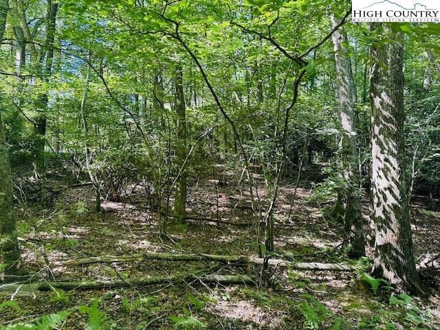 Lot 37 Smoke Rise Path West Jefferson, NC 28694 - Photo 1 of 1 a view of outdoor space and deck
