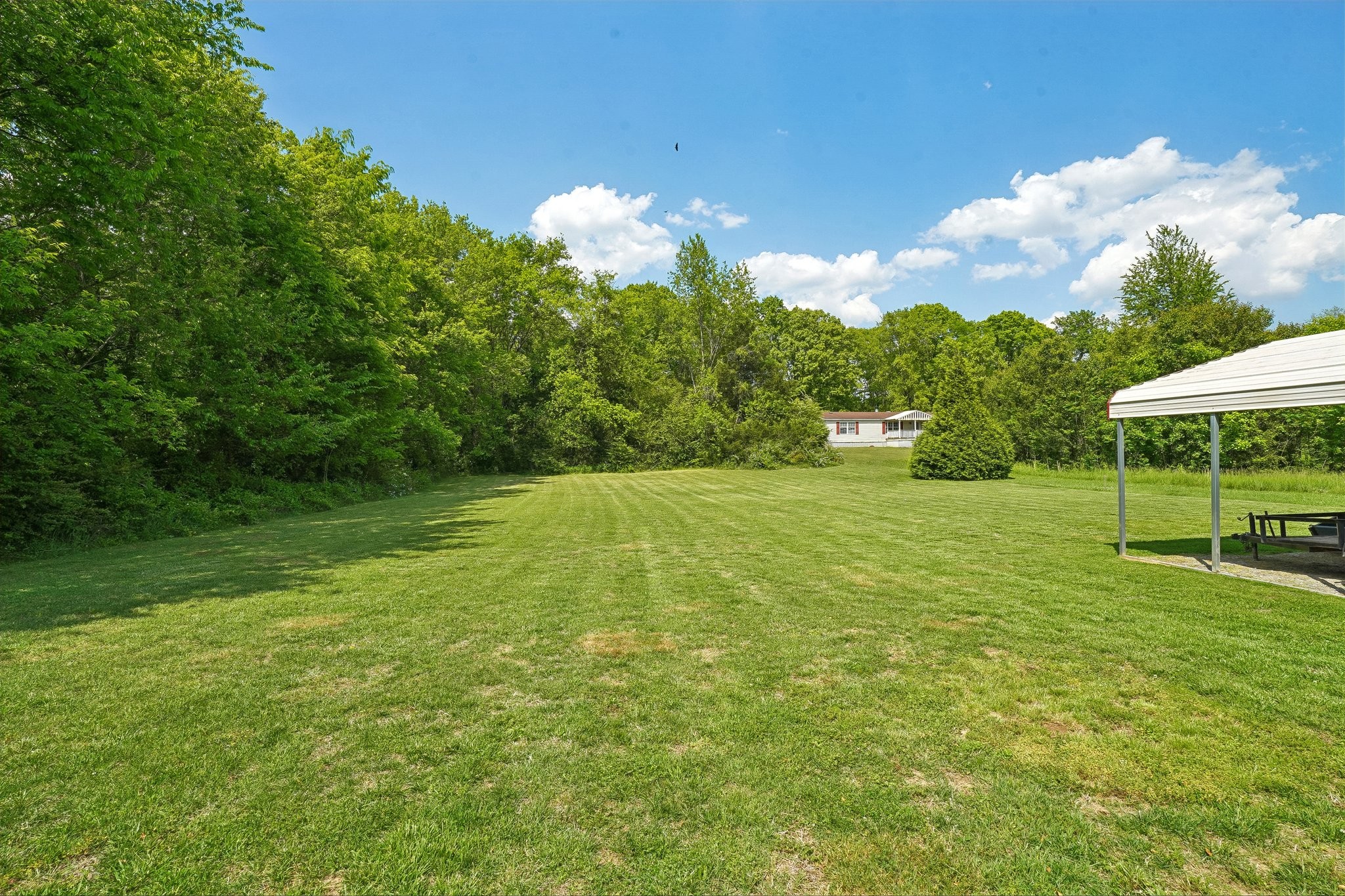 4844 Coleman Hill Road Rockvale, TN 37153 - Photo 45 of 66 a view of a garden with a bench