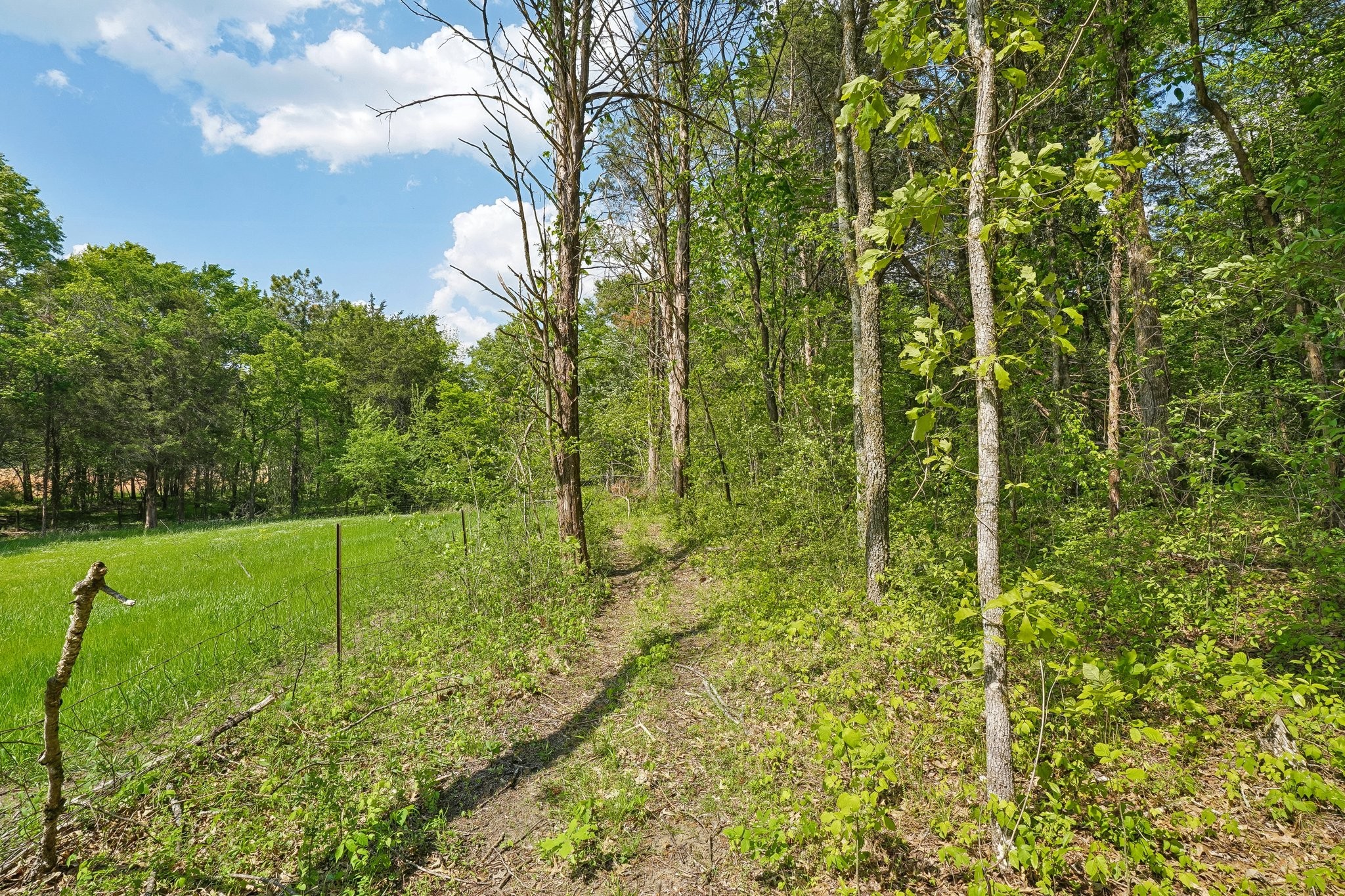 4844 Coleman Hill Road Rockvale, TN 37153 - Photo 55 of 66 a view of a green field with lots of bushes
