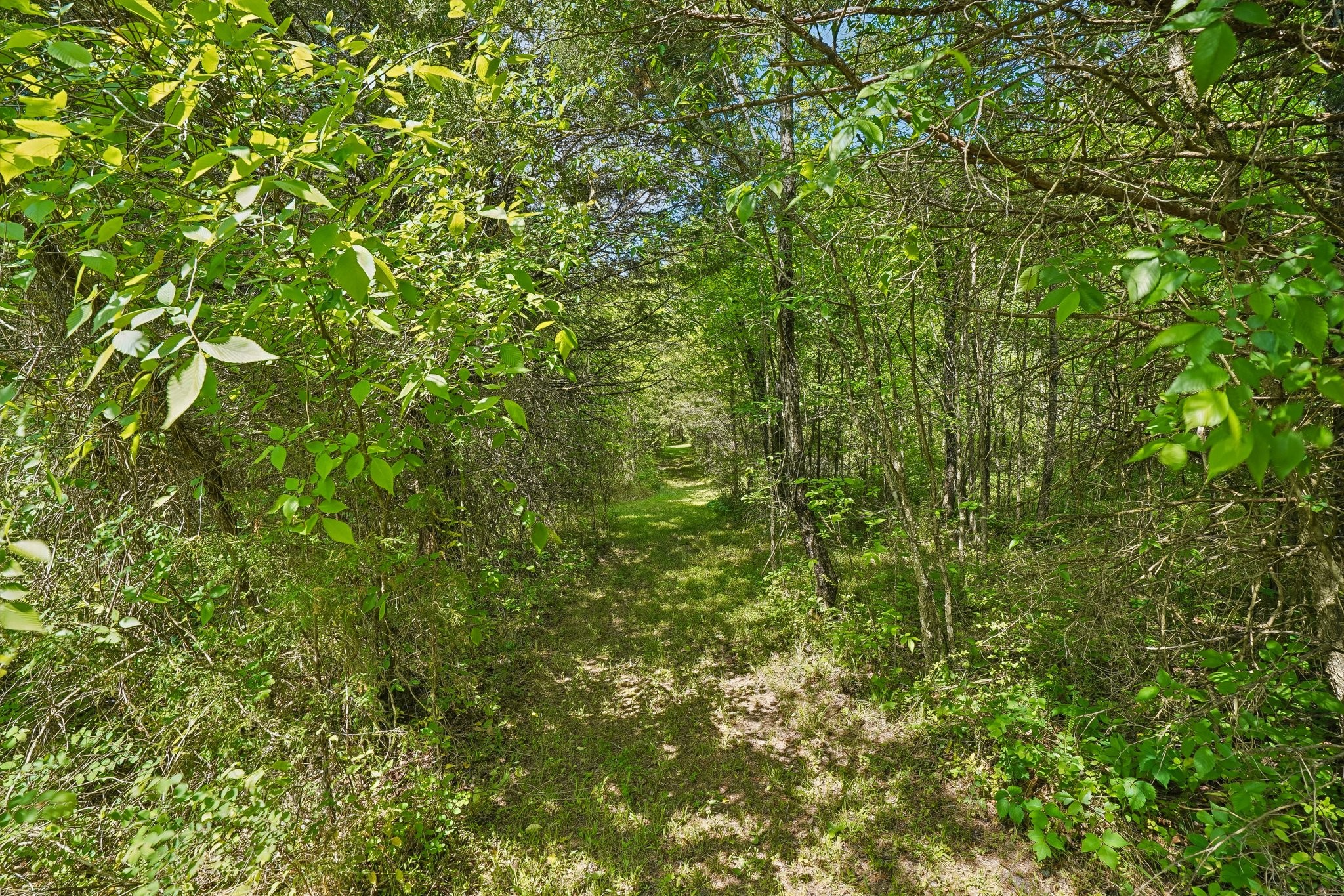 4844 Coleman Hill Road Rockvale, TN 37153 - Photo 58 of 66