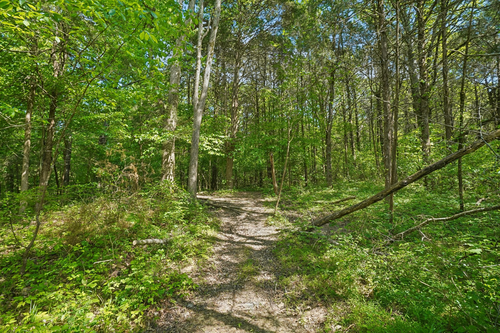4844 Coleman Hill Road Rockvale, TN 37153 - Photo 61 of 66