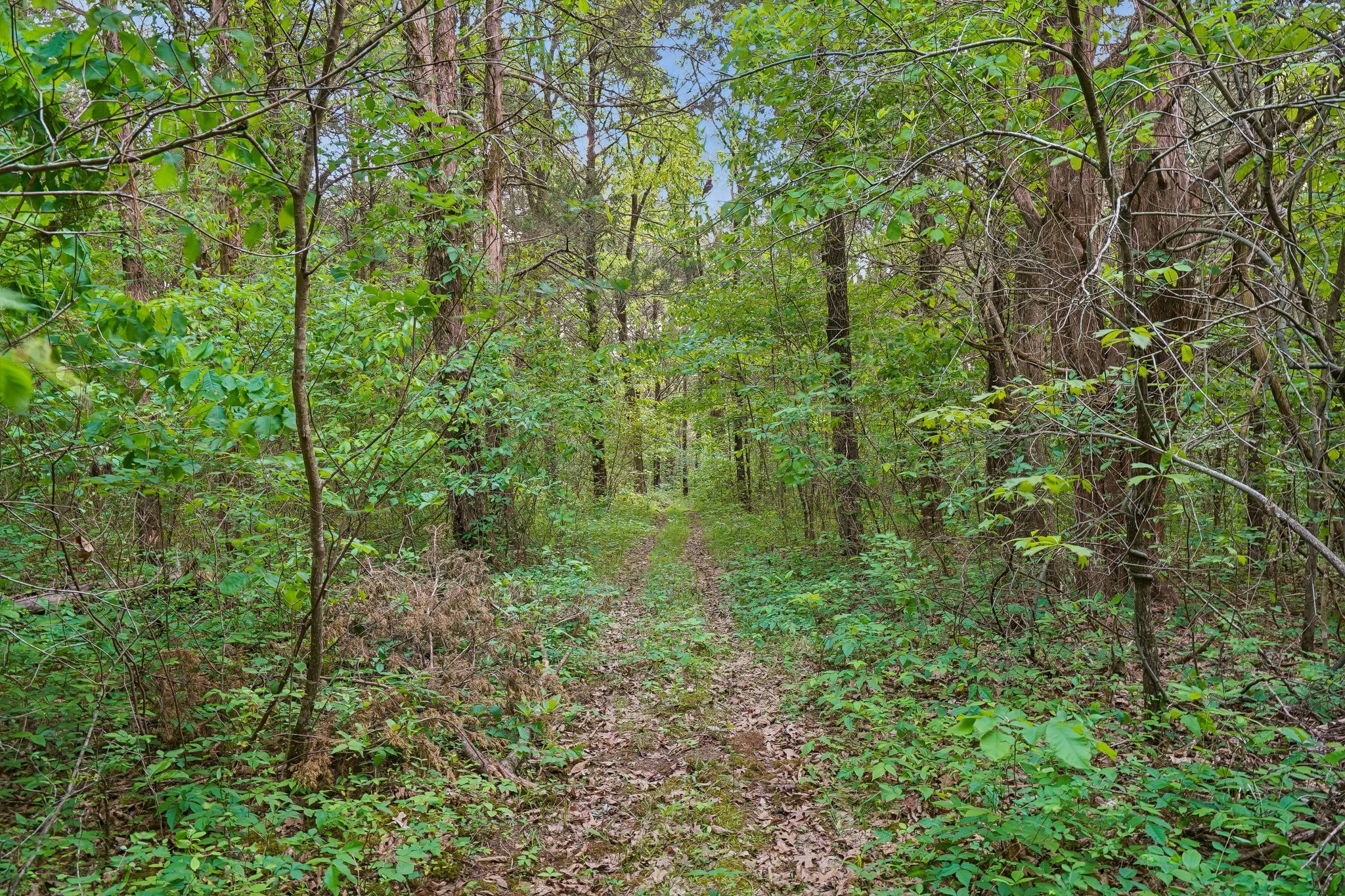 4844 Coleman Hill Road Rockvale, TN 37153 - Photo 63 of 66