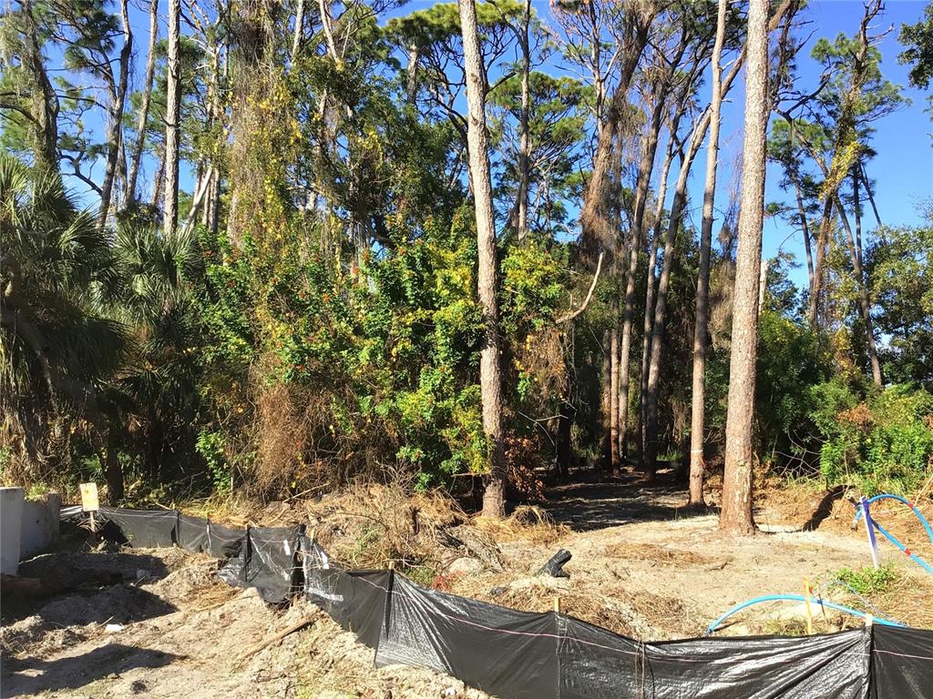 a view of swimming pool with lawn chairs and plants