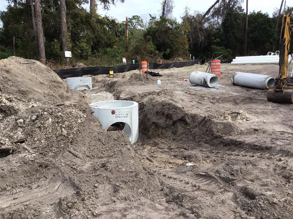 1289 Almaria Court Palm Harbor, FL 34683 - Photo 7 of 8 a view of a backyard with a sitting area