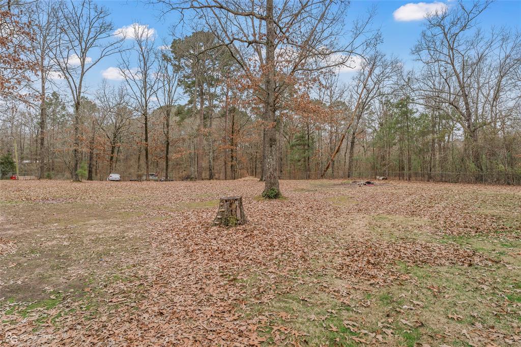 158 Edwards Road Doyline, LA 71023 - Photo 28 of 28 a backyard of a house with lots of green space
