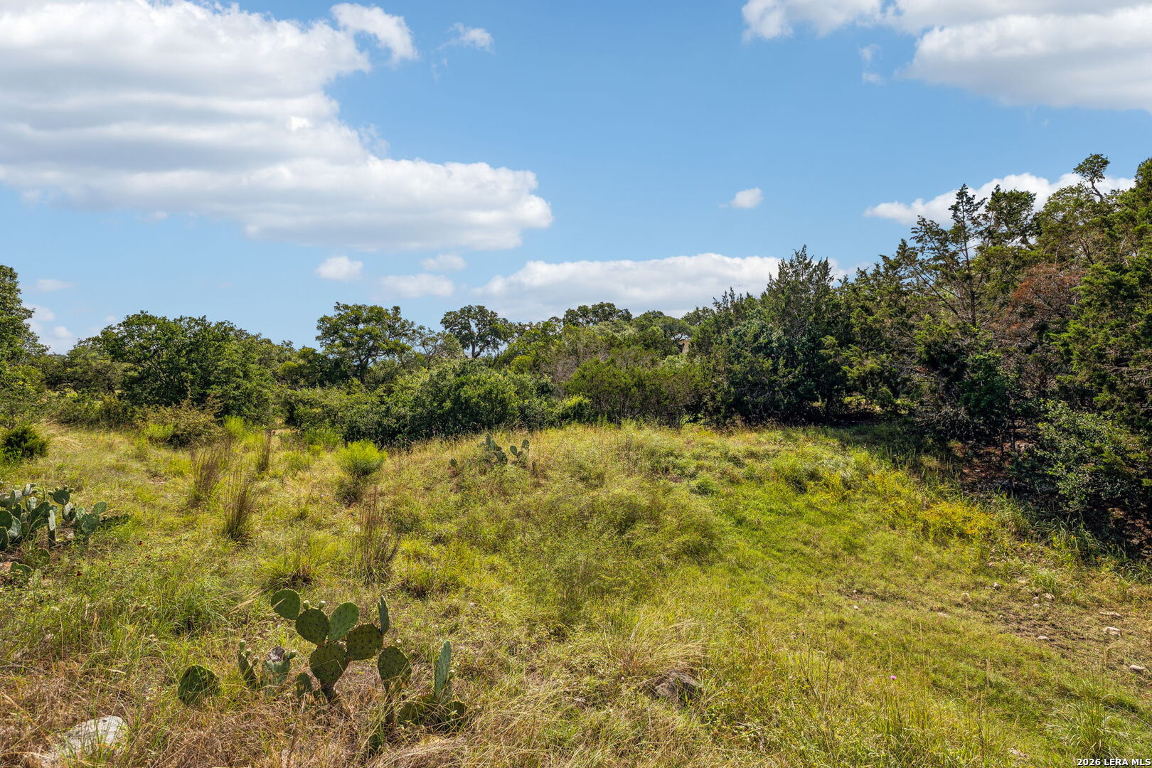 155 Obscure Way Spring Branch, TX 78070 - Photo 6 of 25