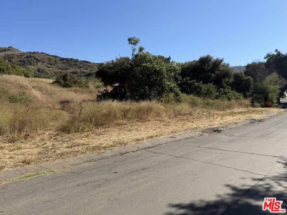 0 Cold Canyon Road Calabasas, CA 91302 - Photo 4 of 6