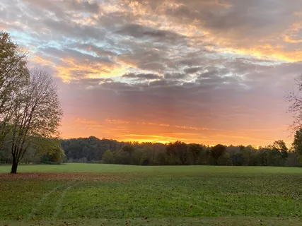 a view of grassy field with mountain