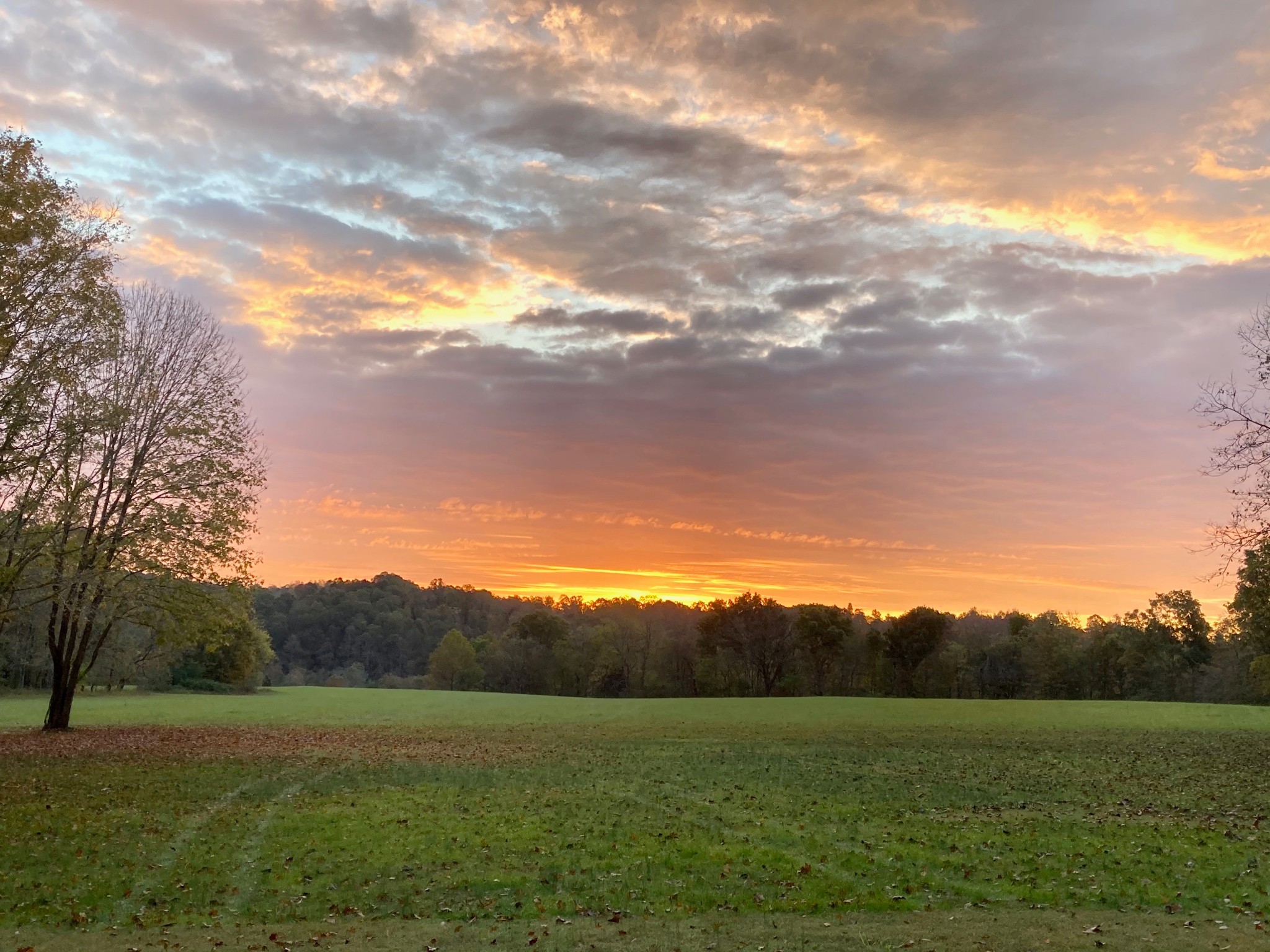1861 Trace Creek Road Hohenwald, TN 38462 - Photo 1 of 29 a view of grassy field with mountain