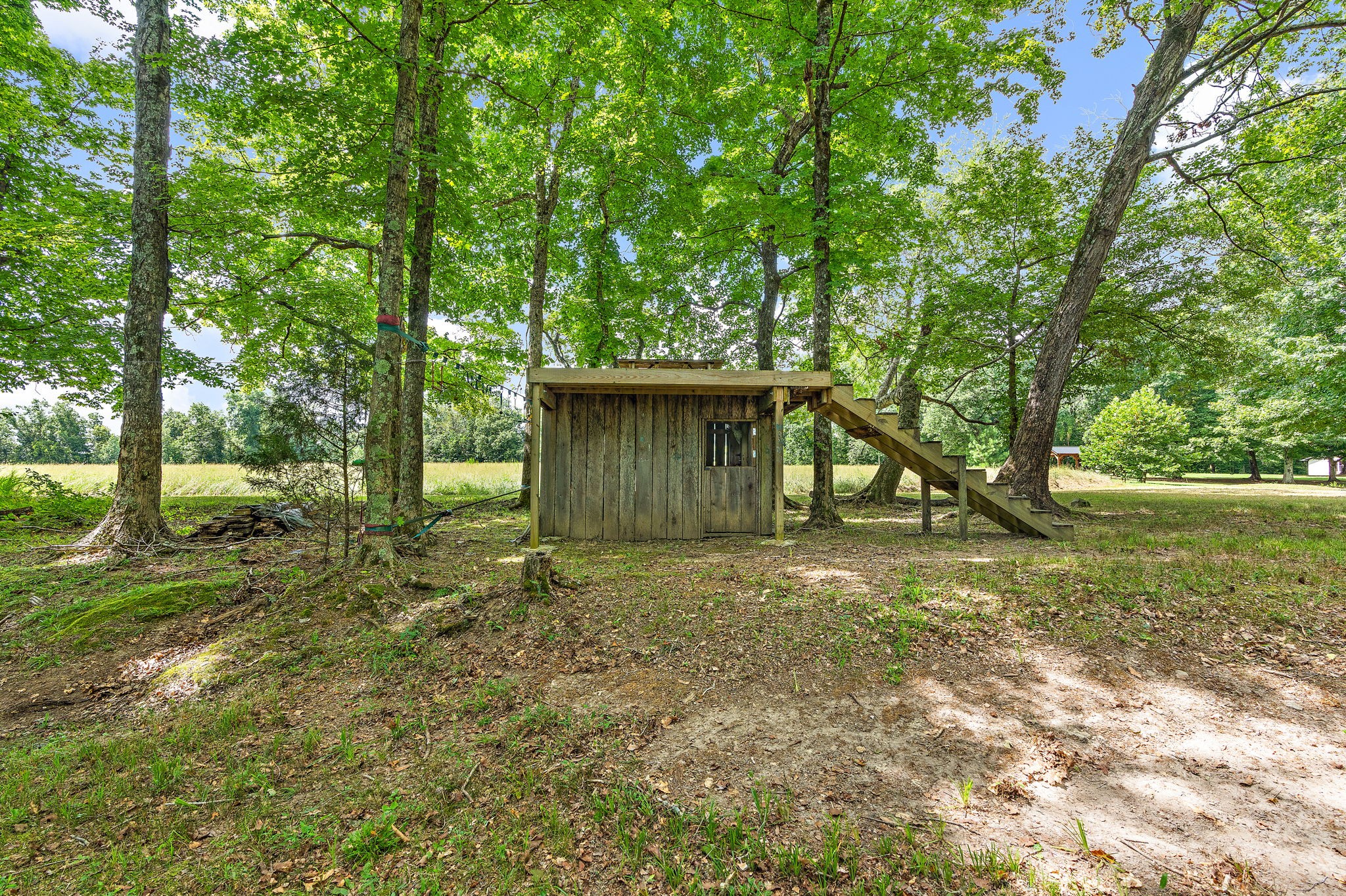 1861 Trace Creek Road Hohenwald, TN 38462 - Photo 11 of 29 a view of a house with a yard