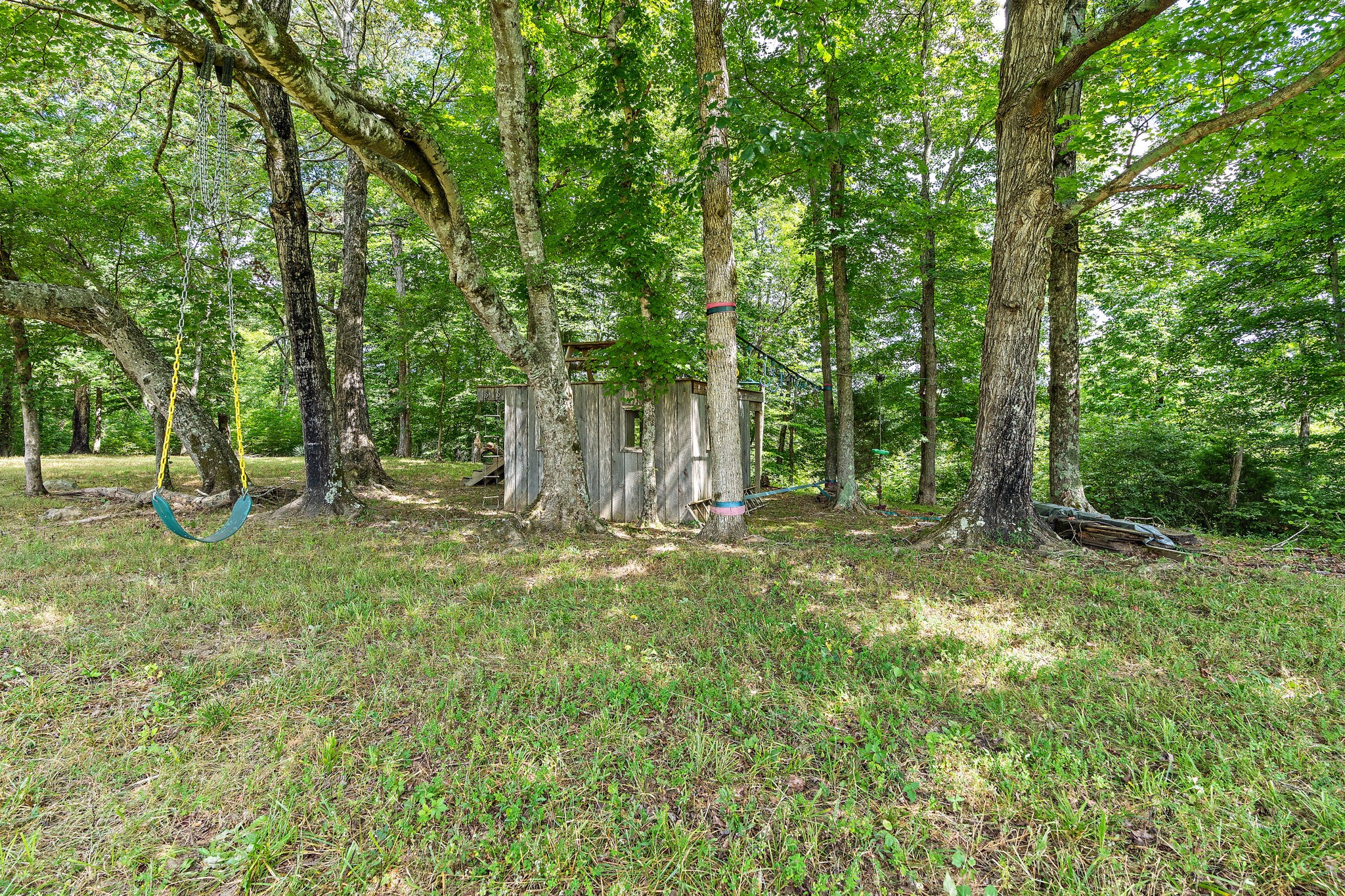 1861 Trace Creek Road Hohenwald, TN 38462 - Photo 12 of 29 a backyard of a house with lots of green space