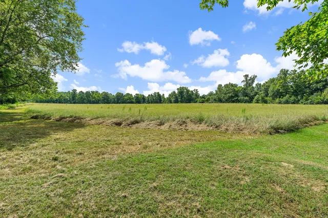 a view of outdoor space and yard