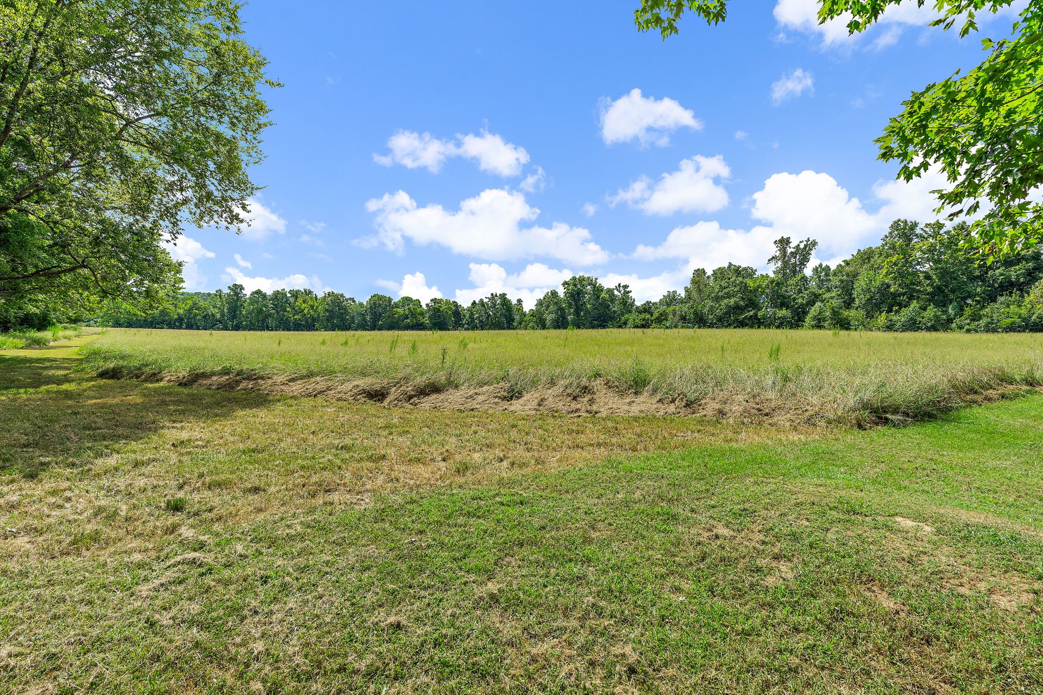1861 Trace Creek Road Hohenwald, TN 38462 - Photo 14 of 29 a view of outdoor space and yard