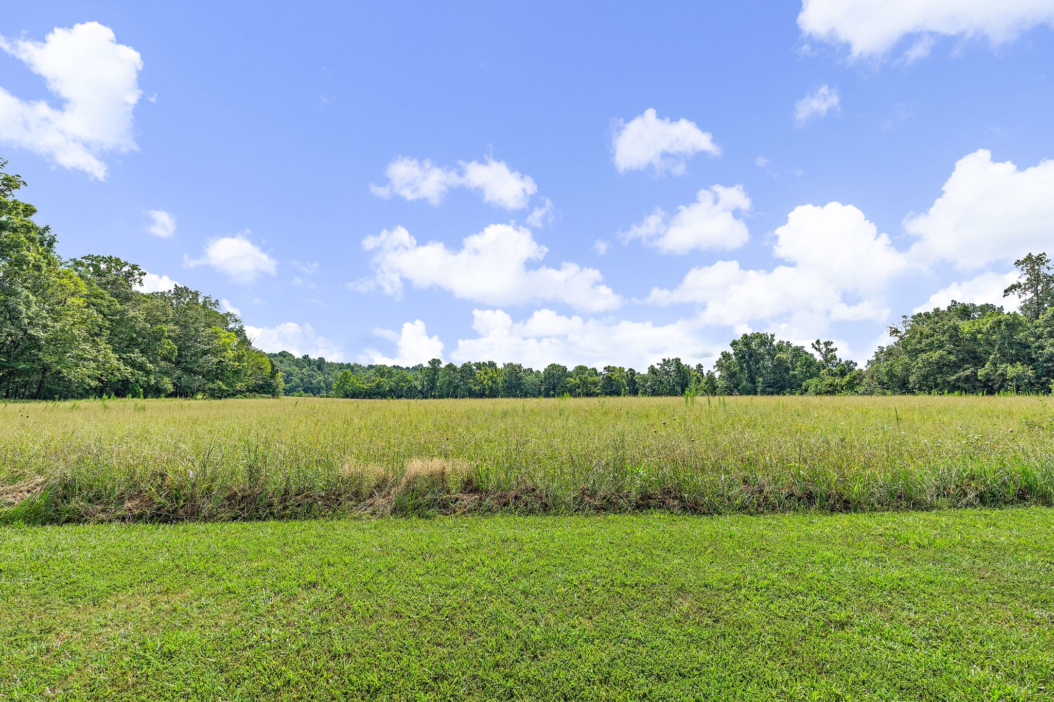 1861 Trace Creek Road Hohenwald, TN 38462 - Photo 15 of 29 a view of a lake with a yard