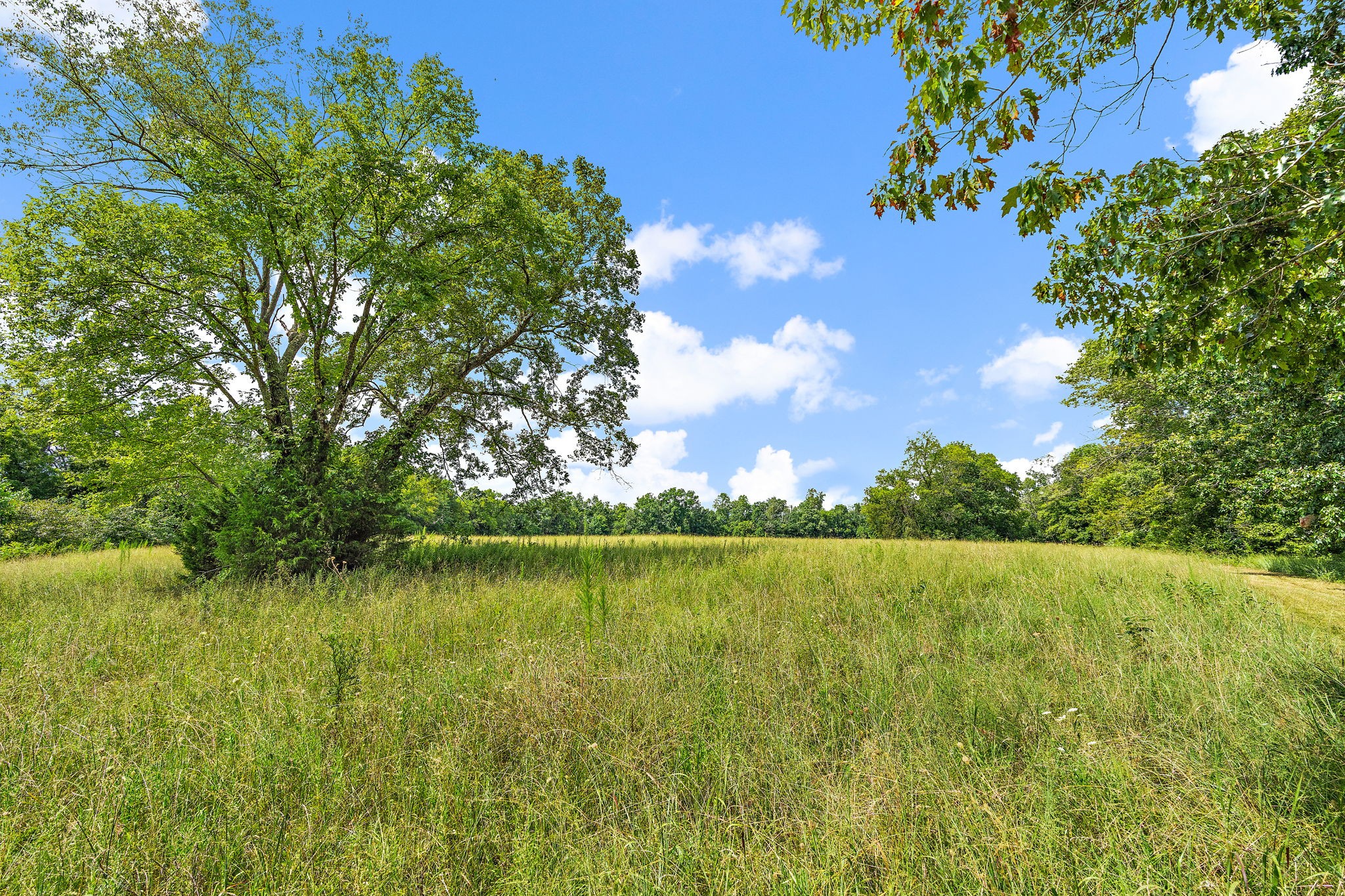 1861 Trace Creek Road Hohenwald, TN 38462 - Photo 16 of 29 a view of a lake view with a garden