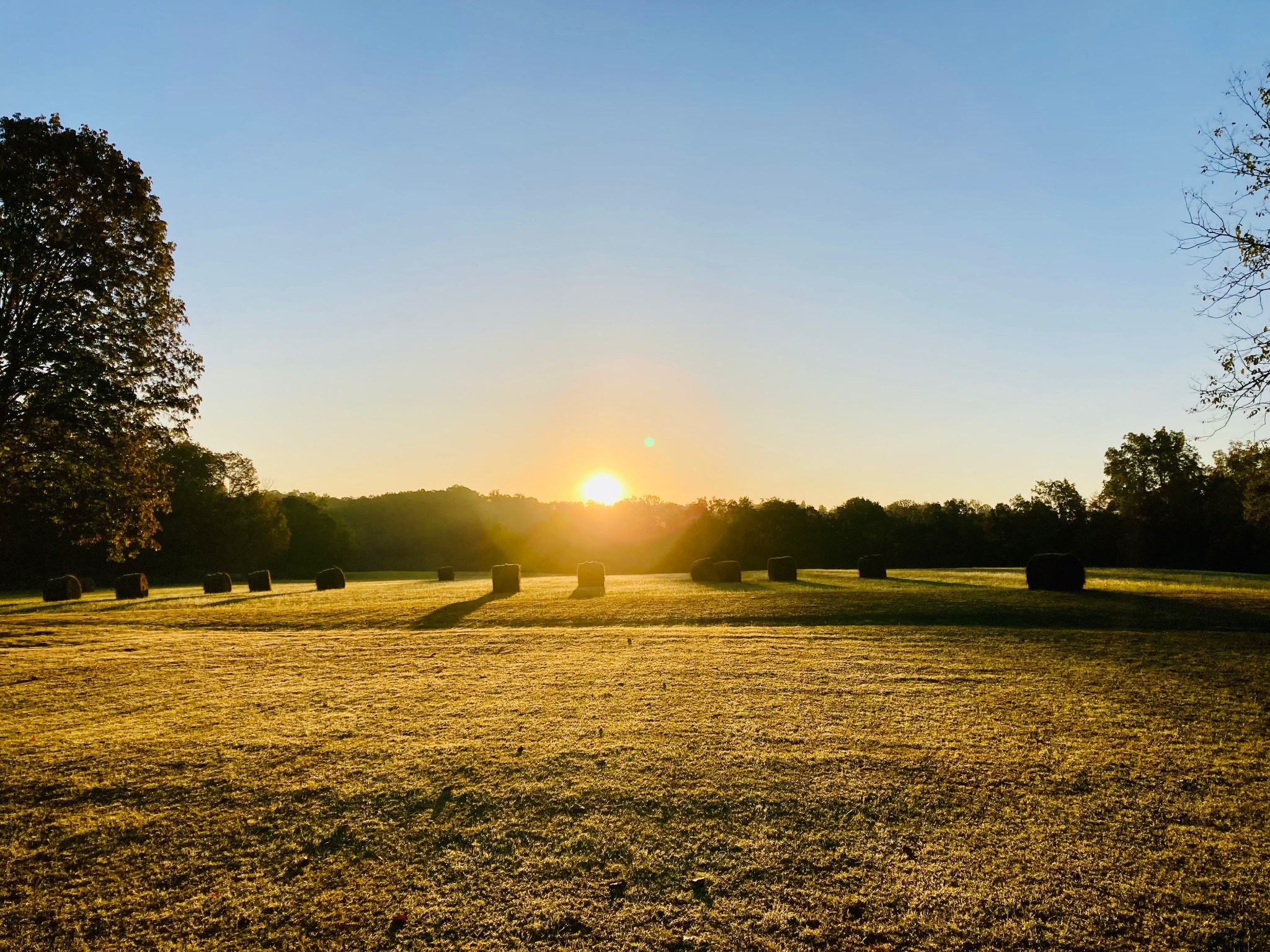1861 Trace Creek Road Hohenwald, TN 38462 - Photo 17 of 29 a view of an ocean view