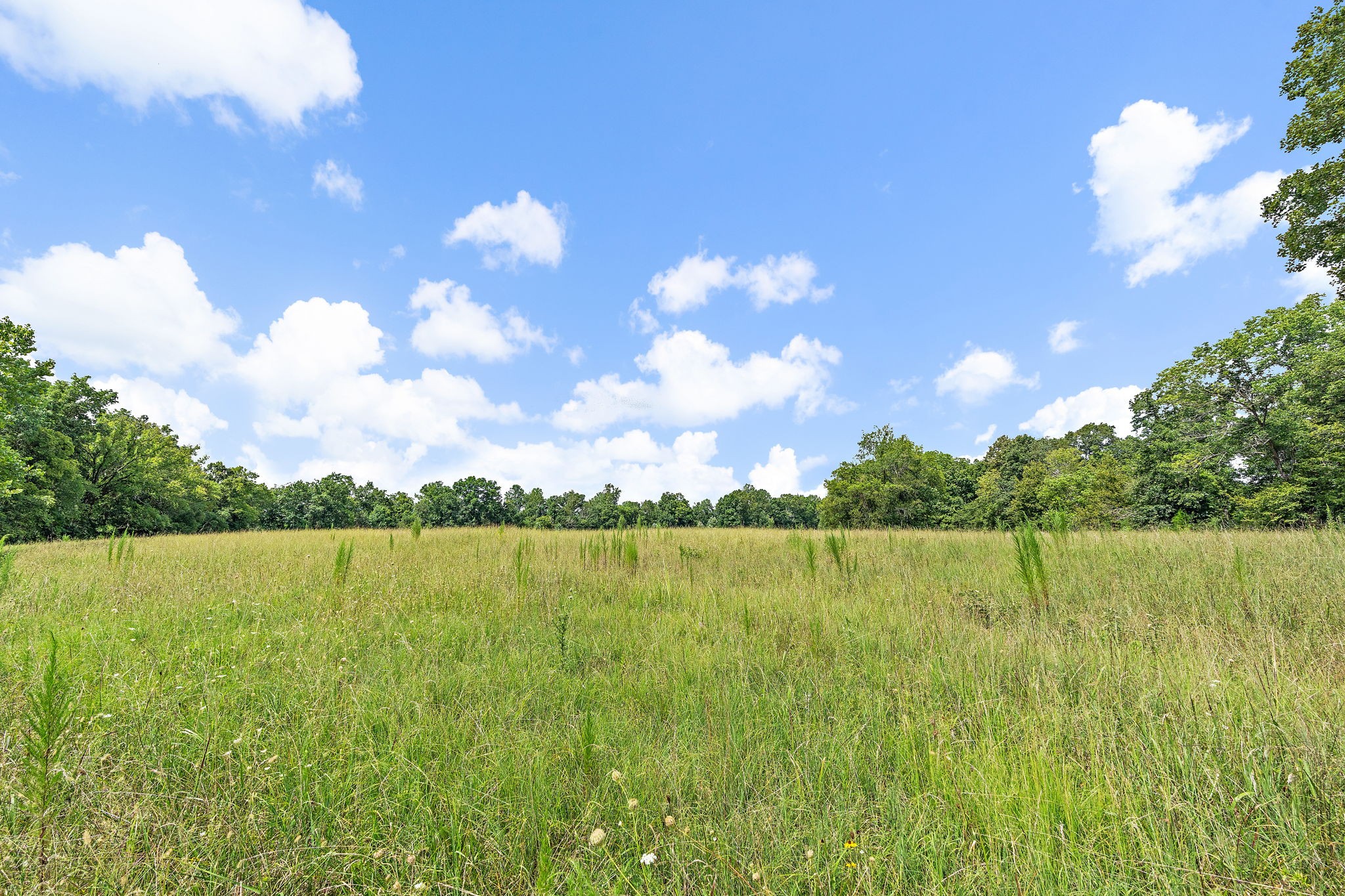 1861 Trace Creek Road Hohenwald, TN 38462 - Photo 18 of 29 a view of outside area