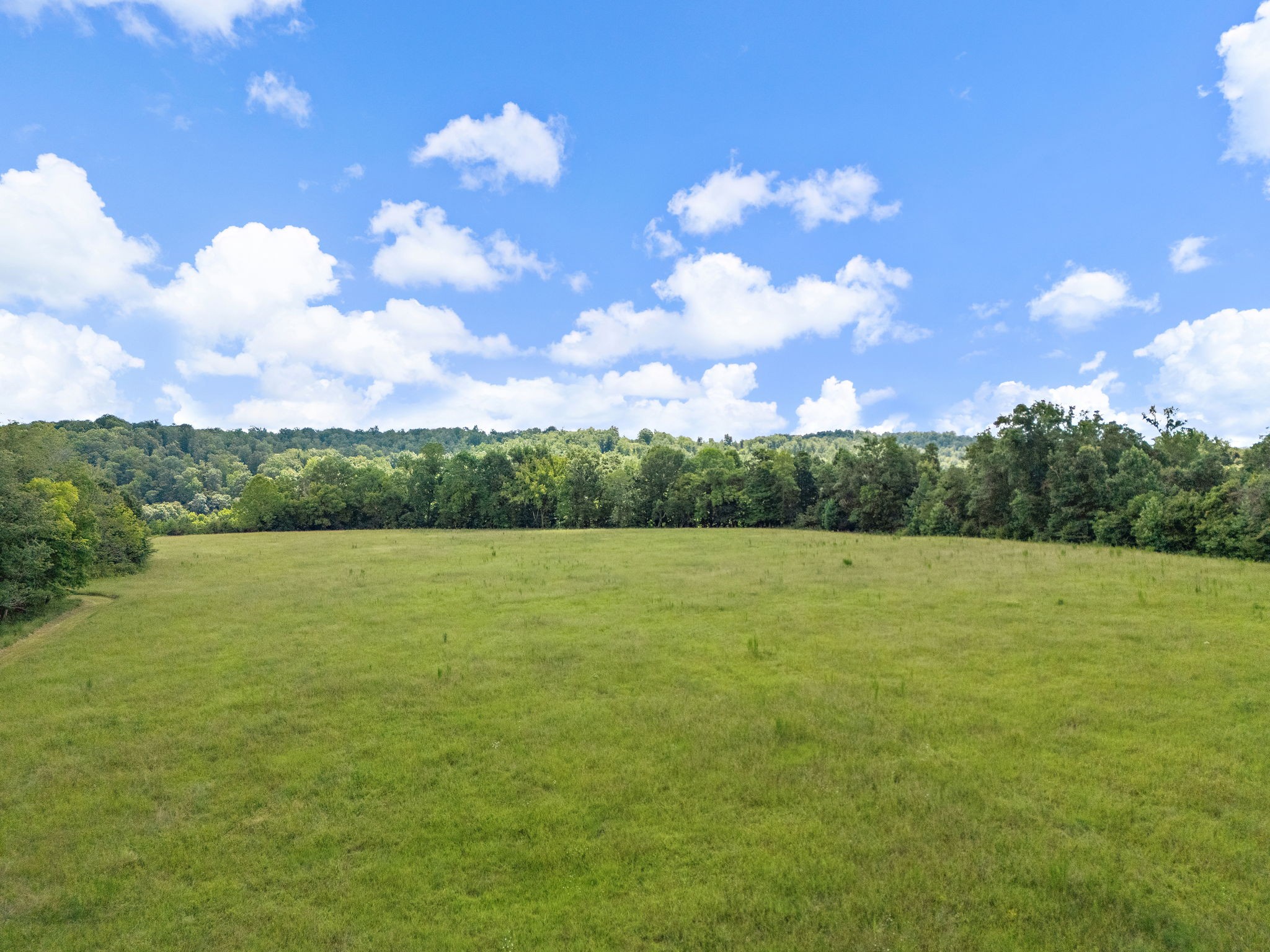 1861 Trace Creek Road Hohenwald, TN 38462 - Photo 21 of 29 a view of a field with an ocean