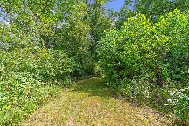 a view of a lush green space