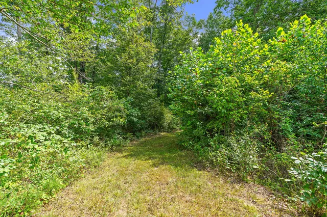 a view of a lush green space