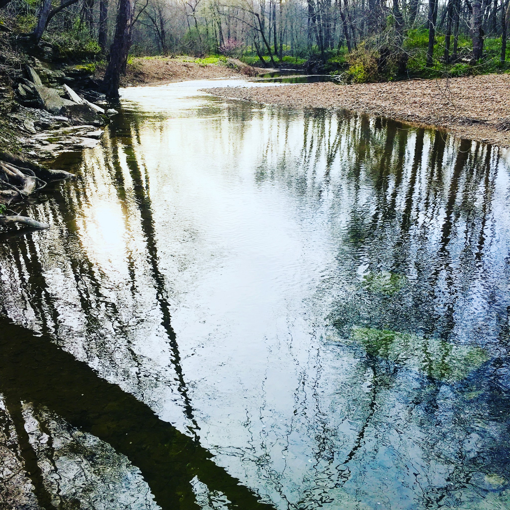 1861 Trace Creek Road Hohenwald, TN 38462 - Photo 27 of 29 a view of wooden deck with lake view