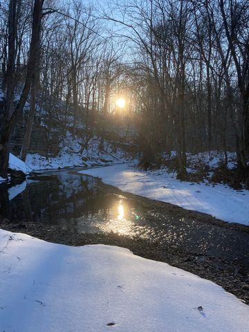 a view of backyard and outdoor space