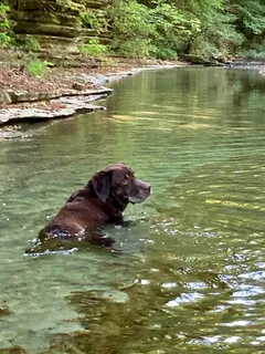a large body of water with water fall and green floor