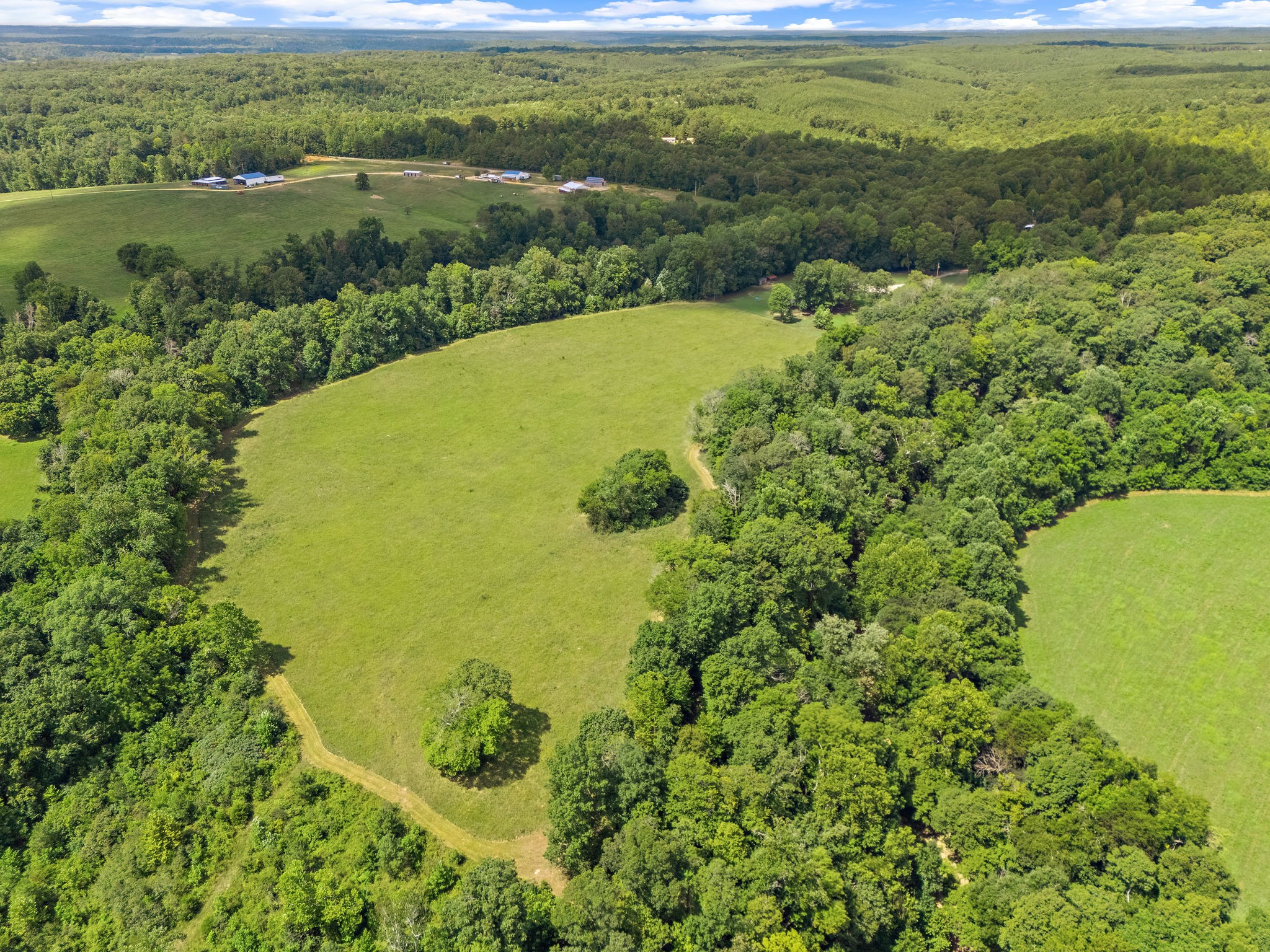 1861 Trace Creek Road Hohenwald, TN 38462 - Photo 5 of 29 a view of a yard with an outdoor space