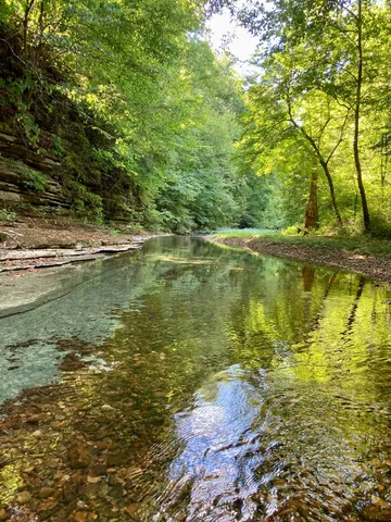 a view of a lake with a large trees