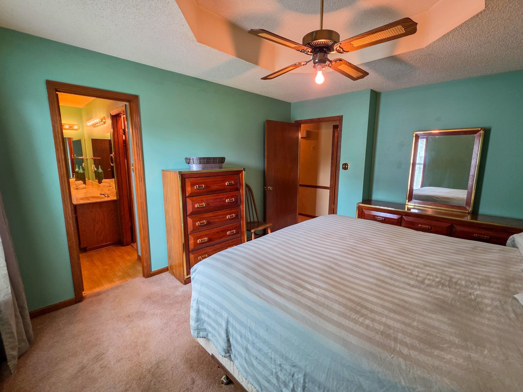 966 Beaver Road Munford, TN 38058 - Photo 13 of 32 Bedroom featuring tray ceiling, ceiling fan with light, and carpet flooring