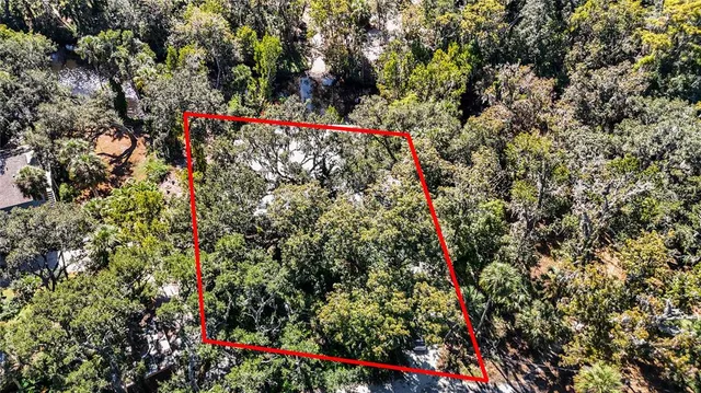a view of a yard with plants and large trees