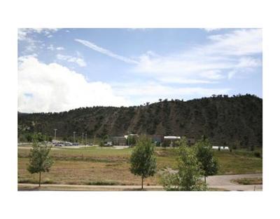 825 Sylvan Lake Road, Unit 2 Eagle, CO 81631 - Photo 19 of 19 Additional Photo