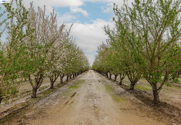 $4,988,900 | 1707 Bowman Road, French Camp, CA 95231