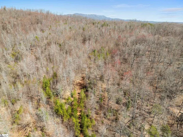 $1,250,000 | 0 Burns Road, Travelers Rest, SC 29690