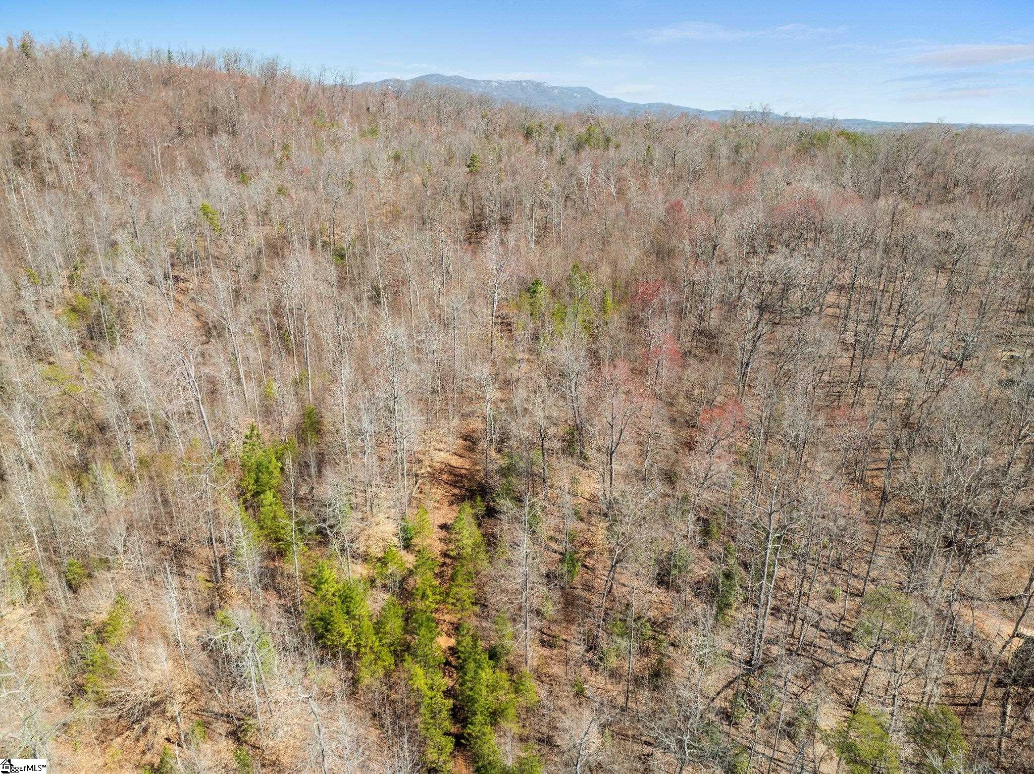 0 Burns Road Travelers Rest, SC 29690 - Photo 11 of 11