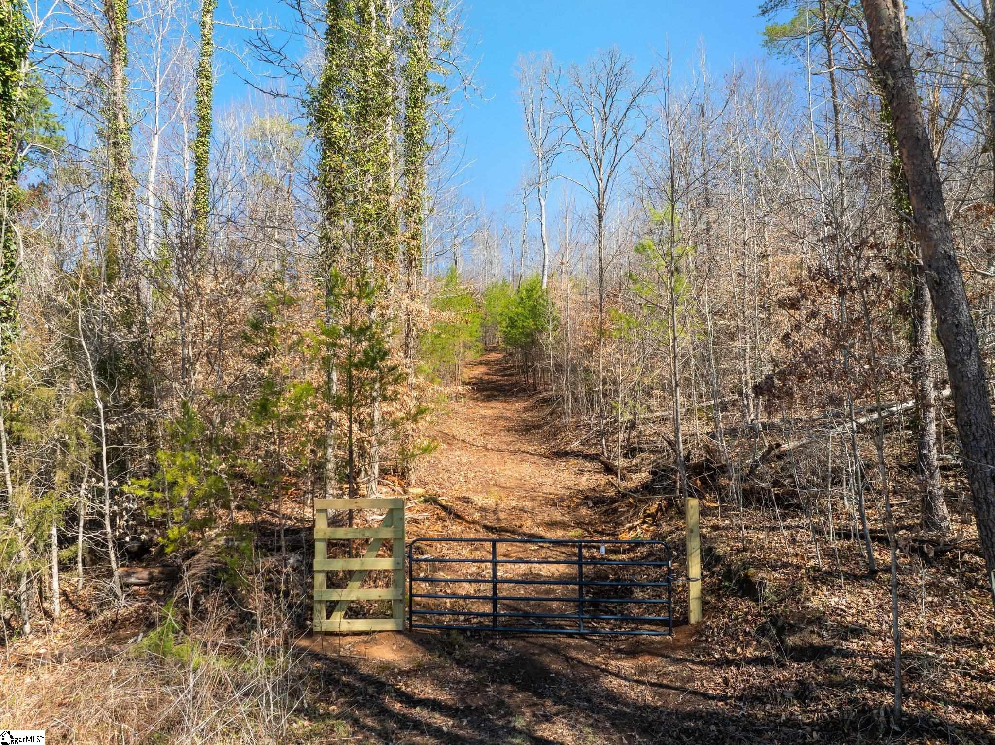 0 Burns Road Travelers Rest, SC 29690 - Photo 2 of 11