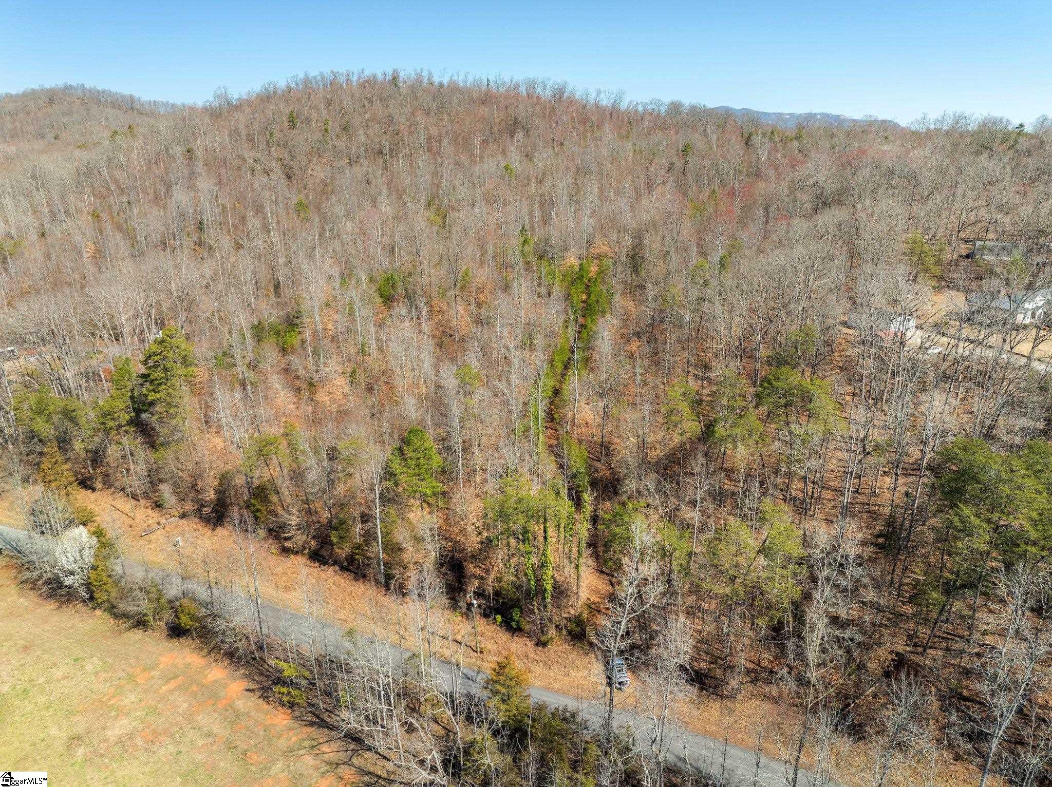 0 Burns Road Travelers Rest, SC 29690 - Photo 3 of 11