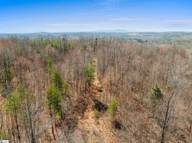 $1,250,000 | 0 Burns Road, Travelers Rest, SC 29690