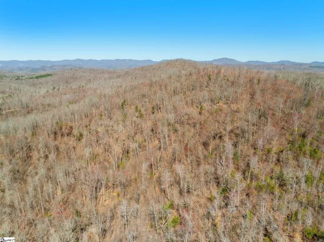 $1,250,000 | 0 Burns Road, Travelers Rest, SC 29690