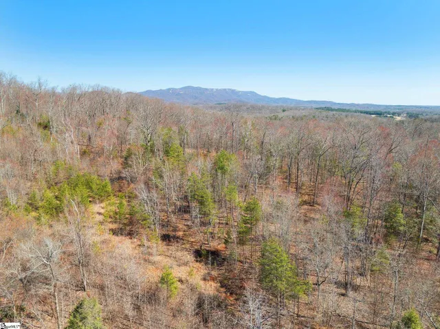 $1,250,000 | 0 Burns Road, Travelers Rest, SC 29690