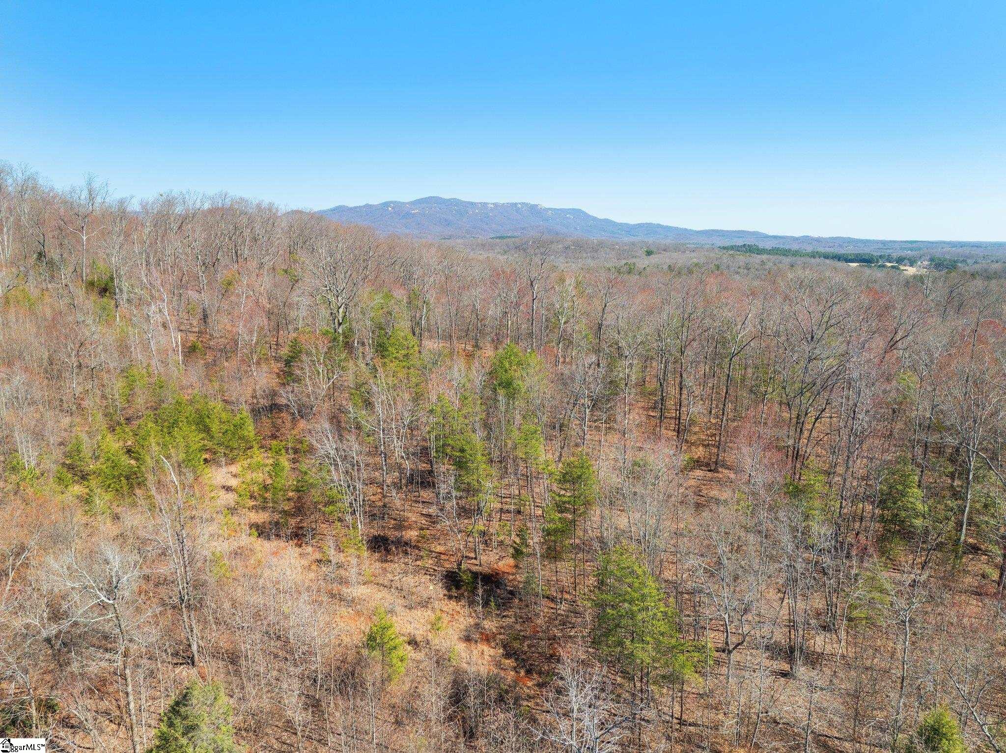0 Burns Road Travelers Rest, SC 29690 - Photo 10 of 11