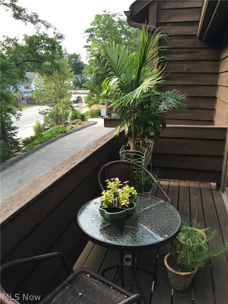 215 Solon Road, Unit D Chagrin Falls, OH 44022 - Photo 21 of 25 Front Balcony