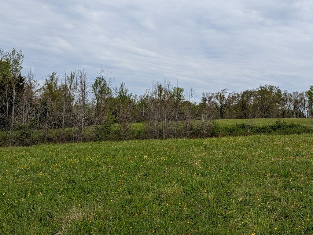 624 Cary Shop Road Burkeville, VA 23922 - Photo 3 of 5 Gallery Image 3