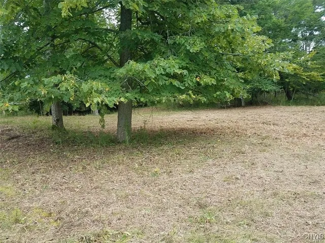 $35,000 | 122 South Of Otter Pond Road, Wellesley Island, NY 13640