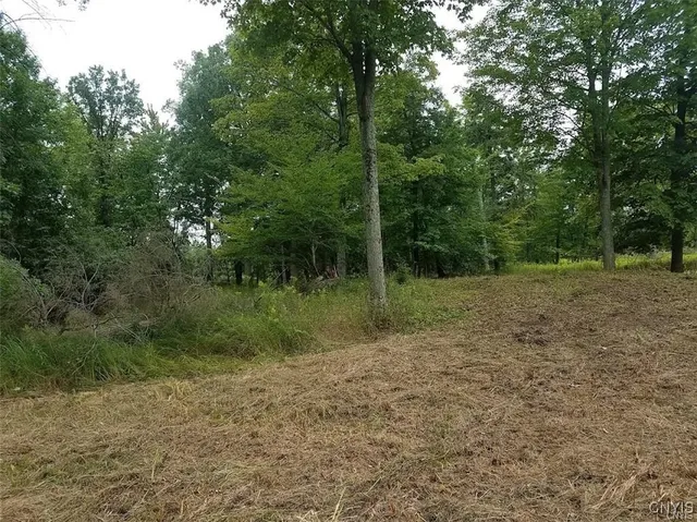 $35,000 | 122 South Of Otter Pond Road, Wellesley Island, NY 13640