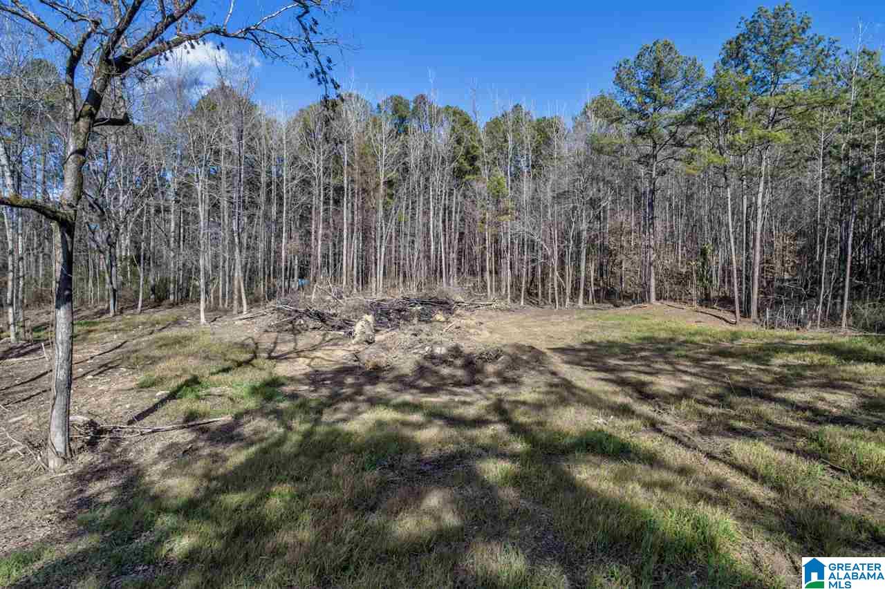 4491 Jim Tate Road Dora, AL 35062 - Photo 2 of 15