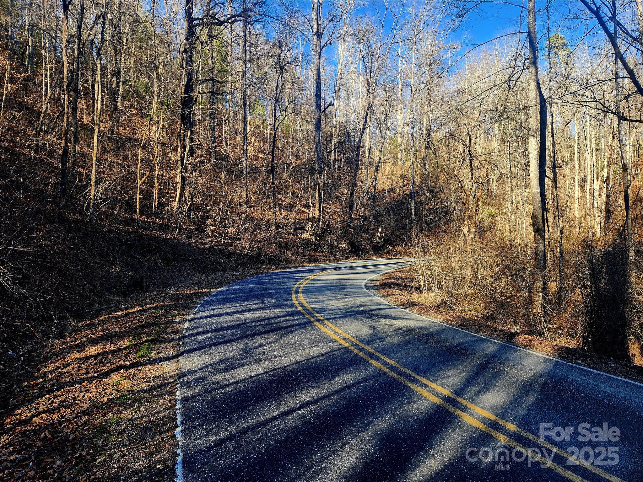 0 Lyle Wilson Road Cullowhee, NC 28723 - Photo 6 of 8 a view of backyard with wooden floor and a fence