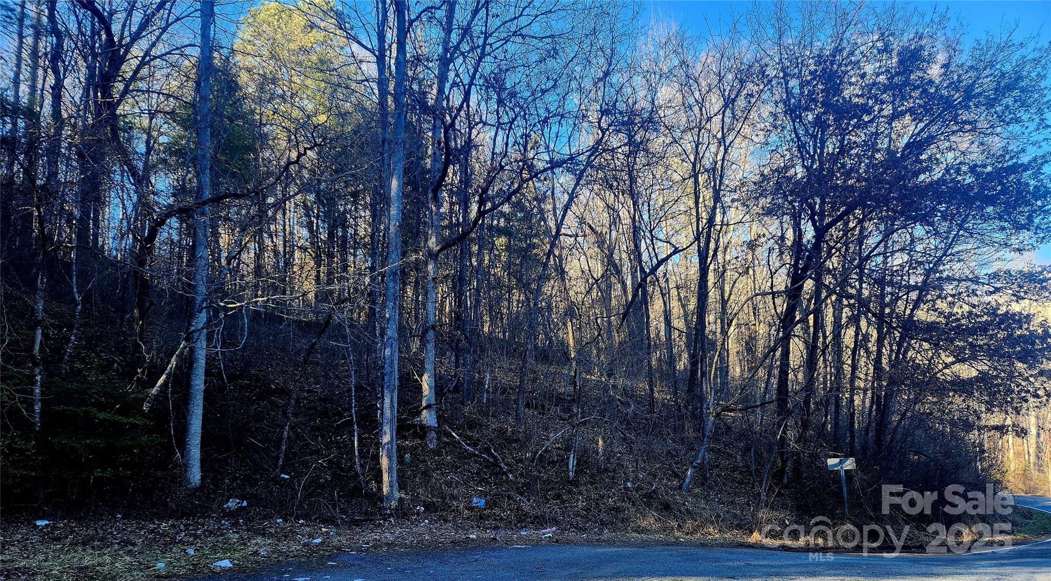 0 Lyle Wilson Road Cullowhee, NC 28723 - Photo 7 of 8 a view of outdoor space and garden