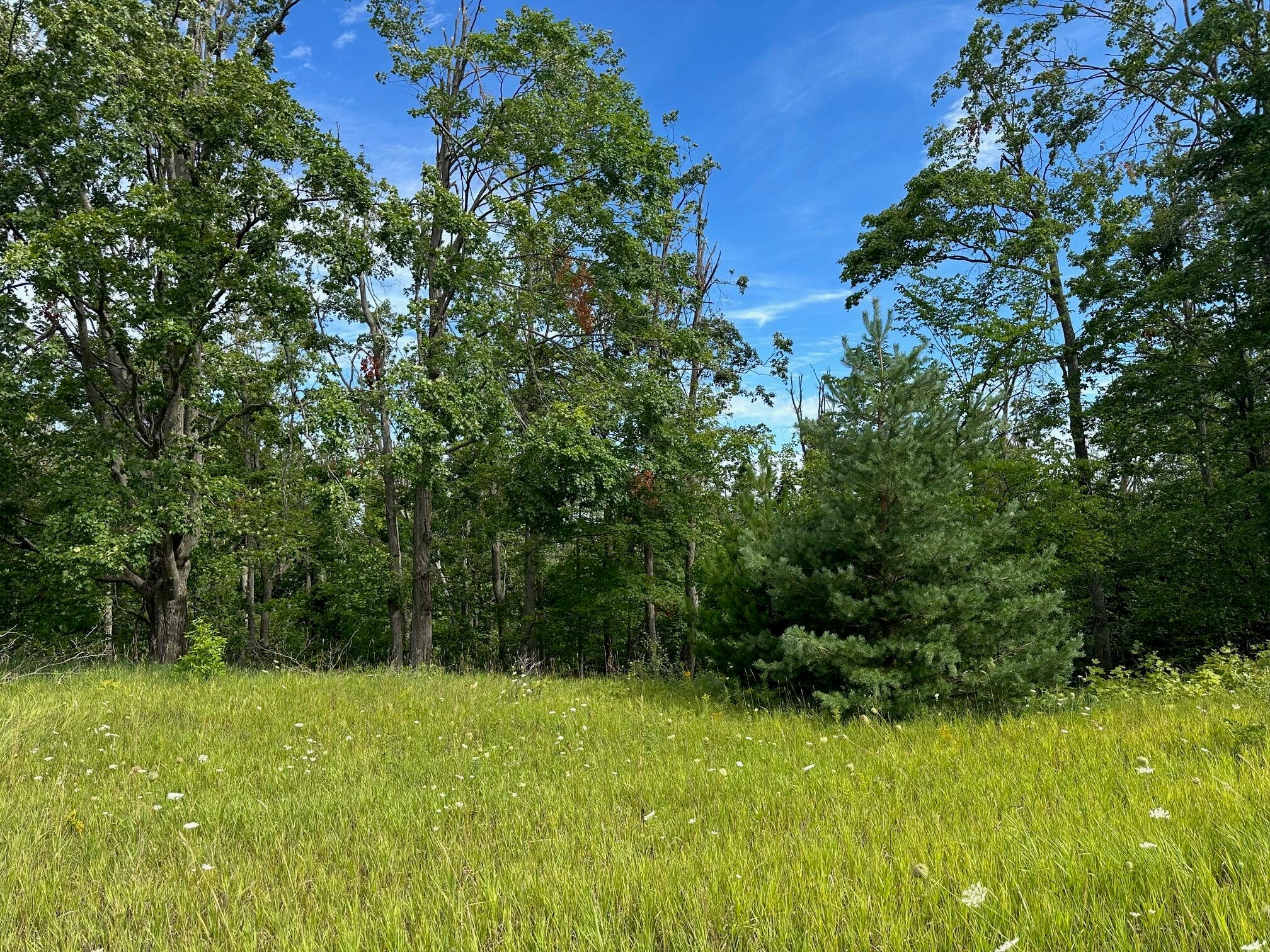 32-ac Morgan Road Gaylord, MI 49735 - Photo 5 of 6 IMG_3301